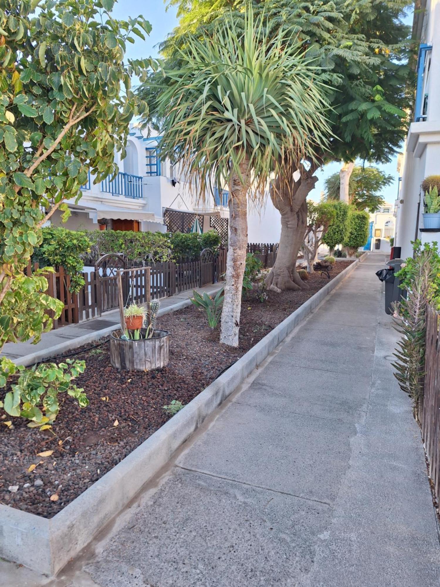 Poolfront Bungalow Playa del Ingles  Exterior foto